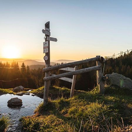 Waldhotel Fehrenbach ฮินเทอร์ซาร์เทน ภายนอก รูปภาพ