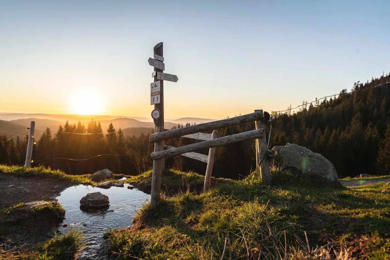 Waldhotel Fehrenbach ฮินเทอร์ซาร์เทน ภายนอก รูปภาพ