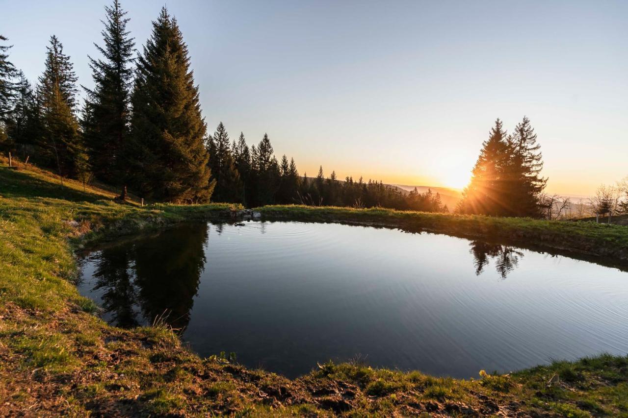 Waldhotel Fehrenbach ฮินเทอร์ซาร์เทน ภายนอก รูปภาพ