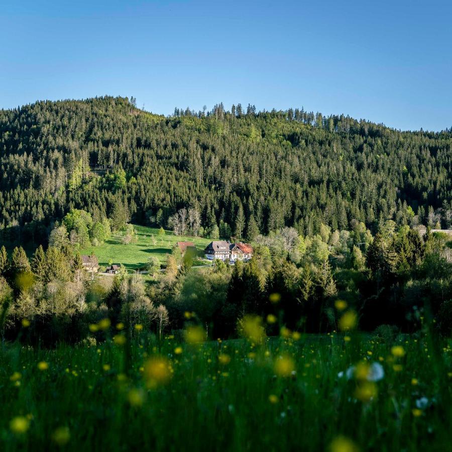 Waldhotel Fehrenbach ฮินเทอร์ซาร์เทน ภายนอก รูปภาพ